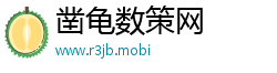 凿龟数策网